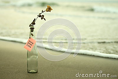 Paper message on the bottle - Love your life. With dried white rose in a vase glass on sands , white light background of the beach Stock Photo