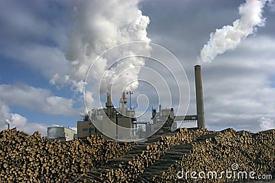 Paper Mill with Stacks of Trees to be processed Stock Photo