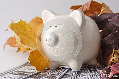 Paper Money and a Piggy Bank in the fall Stock Photo