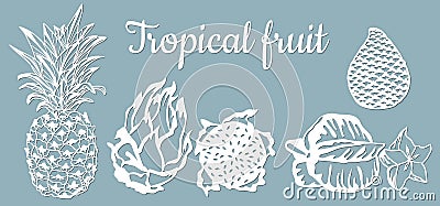 Paper pineapple, pitahaya, Carambola, Salak. Tropical fruit isolated. Symbol of food, sweet, exotic, summer, vitamin, healthy. Vector Illustration