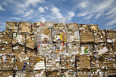 Paper Recycling Stock Photo