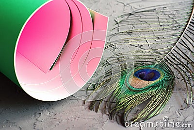 Paper roll of green and pink color and decorative peacock feather on concrete background Stock Photo