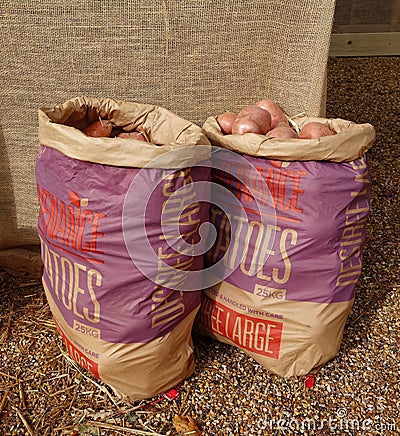 Paper Sack with potatoes Stock Photo