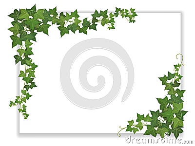 Paper sheet decorated ivy Stock Photo