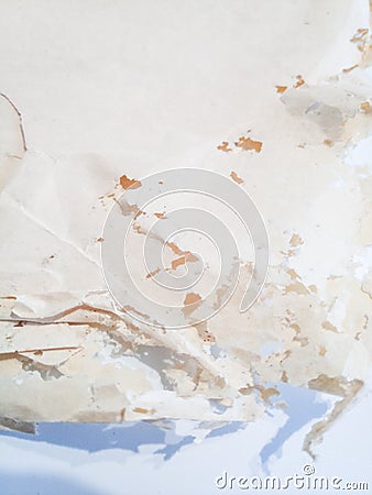 Paper swallowed with silverfish. Traces of wrecking silverfish on vinyl envelopes Stock Photo