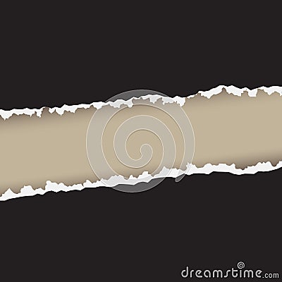 Paper tear rough edges Vector Illustration