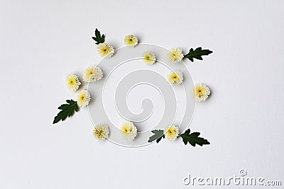 Paper texture background with flowe. Flat lay Stock Photo