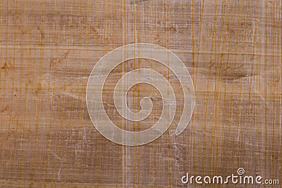 Papyrus texture. papyrus closeup. pure papyrus Stock Photo