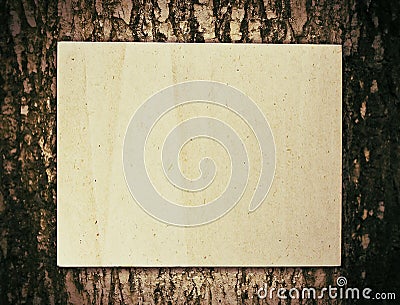 Paper on tree Stock Photo