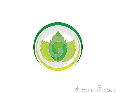 papermint leaf illustration vector Vector Illustration