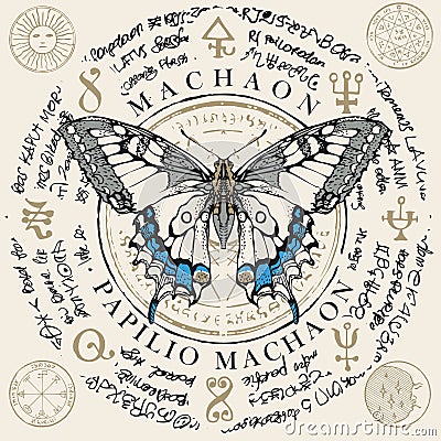 Papilio machaon butterfly with old magic symbols Vector Illustration