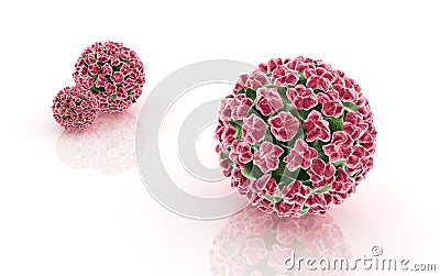 Papilloma virus Cartoon Illustration