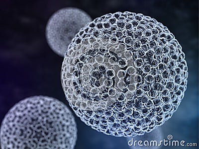 Papilloma Virus. HPV Stock Photo