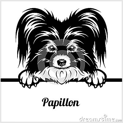 Papillon - Peeking Dogs - - breed face head isolated on white Vector Illustration