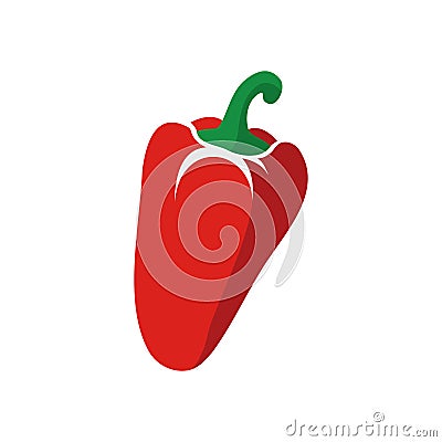 Paprica bell pepper flat vector material design isolated on white Vector Illustration
