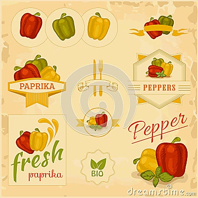 Paprika, pepper, Vector Illustration