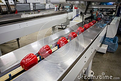 Paprikas on an industrial conveyor belt Stock Photo
