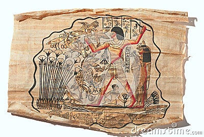 Papyrus Stock Photo