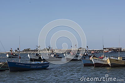 PARACAS, PERU-Colorful fishing boats in Paracas Bay on January 2015 in Paracas, Peru. Paracas is a small port town catering to Editorial Stock Photo
