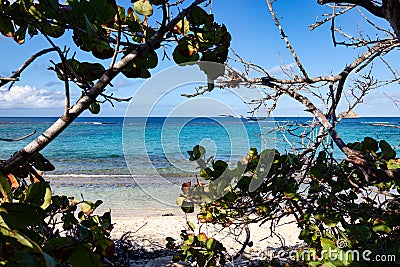 Paradise beach on a caribbean island with crystal clear blue water, Guadeloupe Stock Photo