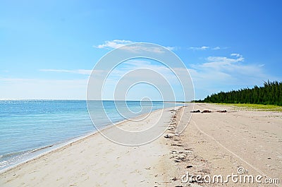 Paradise beach at Cayo JutÃ­as Stock Photo