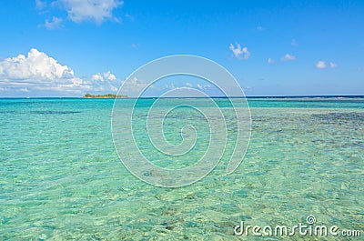 Paradise beach on island caye Carrie Bow Cay Field Station, Caribbean Sea, Belize. Tropical destination Stock Photo