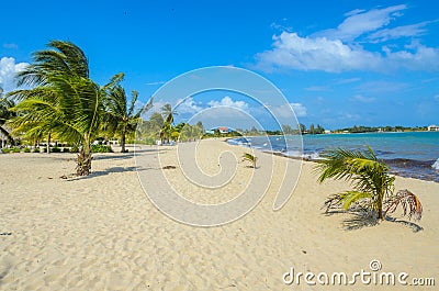 Paradise beach in Placencia, tropical coast of Belize, Caribbean Sea, Central America Stock Photo