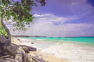 Paradise Playa Blanca beach of Baru island by Cartagena in Colombia Stock Photo