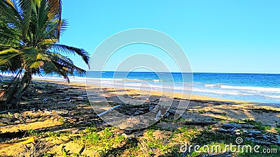 Dream beach in BÃ¡varo Punta Cana Dominican Republic Stock Photo