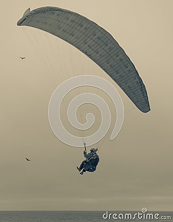 Paraglider flying above beach goers Editorial Stock Photo