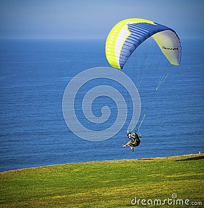 Paraglider Takes Off, La Jolla, California Editorial Stock Photo