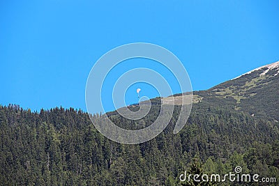 Paraglider under Alps. Clear sky and green spruce forest. Stock Photo