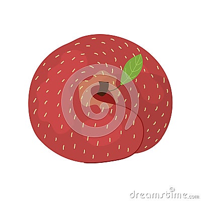 Donut flat peach print in cartoon style. Fresh fruit element isolated on white background Vector Illustration