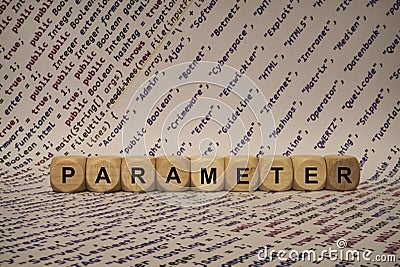 Parameter - cube with letters and words from the computer, software, internet categories, wooden cubes Stock Photo