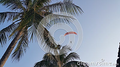 Parameter over coconut tree under blue sky Stock Photo