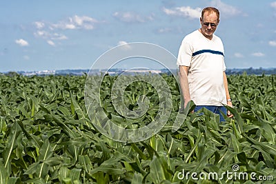 Undefined farmer in corn field Editorial Stock Photo