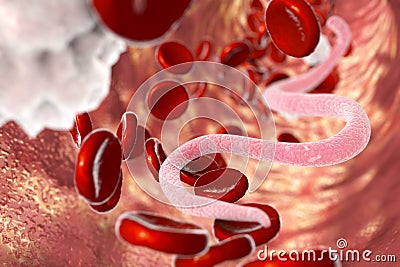 Parasite in human blood Cartoon Illustration