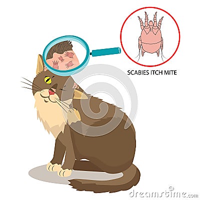 Parasite Of The Skin. Cat Parasites Vector. Itch Mite. Sarcoptes Scabiei. Vector Illustration