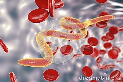 Parasitic worms in blood Cartoon Illustration