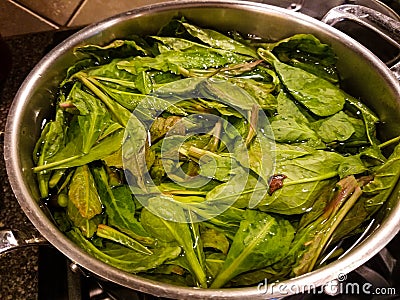 Parboiling Polk Salat Leaves in stainless steel pot on stove Stock Photo