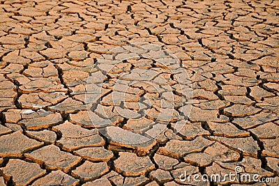 Parched land Stock Photo