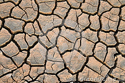 Parched land Stock Photo