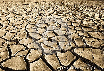 Parched land Stock Photo