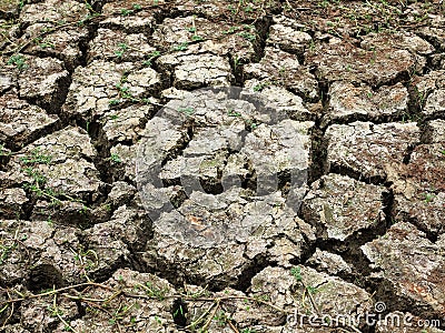 Parched land close-up Stock Photo
