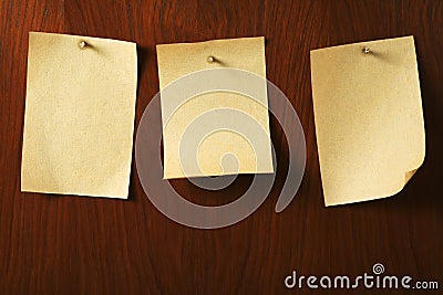 Parchment nailed on wooden board Stock Photo