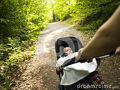 Parent and Baby Taking a Walk in the Woods Stock Photo