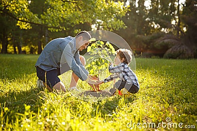 Parent and child planting tree Stock Photo