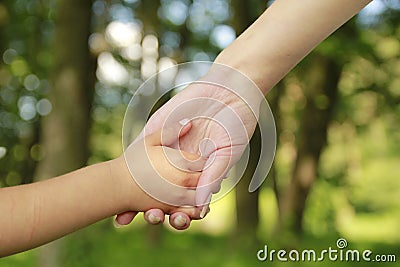 Parent holds the hand of a small child Stock Photo