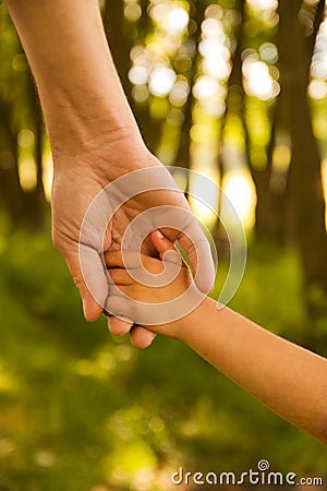 Parent holds the hand of a small child Stock Photo