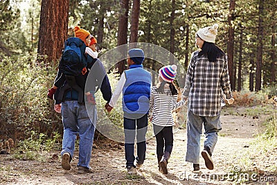 Parents and children walking in a forest, back view close up Stock Photo